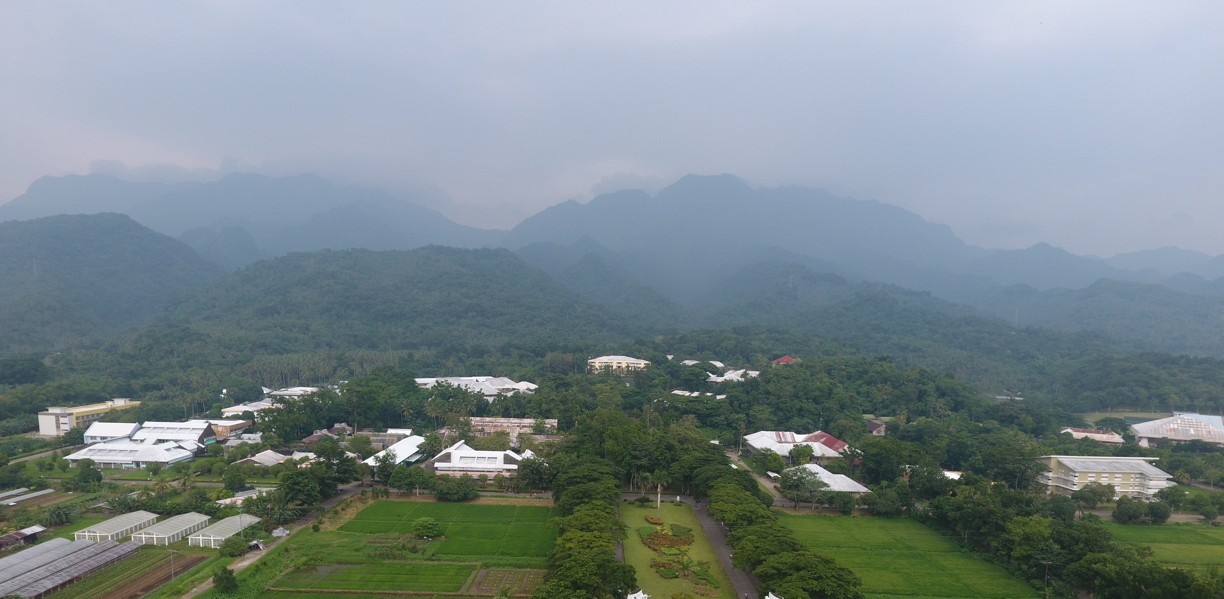 HAZY. Mt. Pangasugan obscured from clear sight by thick haze. Photo by Jed Asaph Cortes
