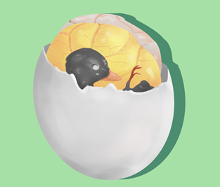 balot1.png